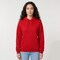 Hanes Unisex EcoSmart Fleece Hooded Sweatshirt For Casual Wear